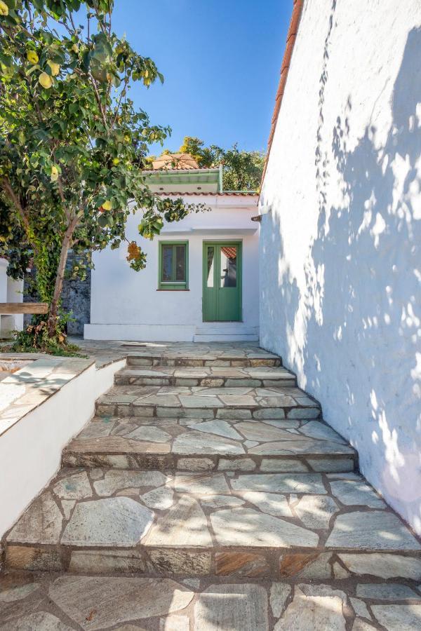 Olea Skopelos Villas With Swimming Pools & Sea View Panormos  Zewnętrze zdjęcie