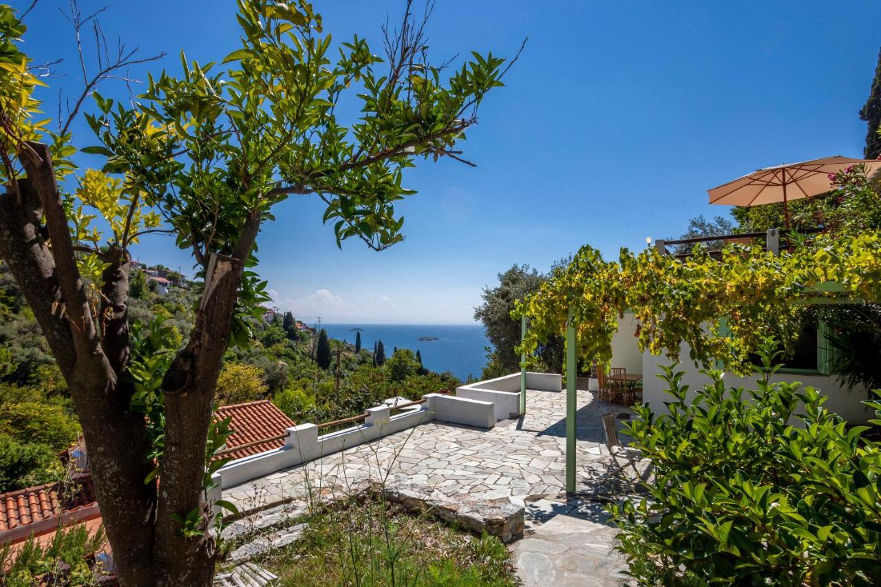 Olea Skopelos Villas With Swimming Pools & Sea View Panormos  Zewnętrze zdjęcie