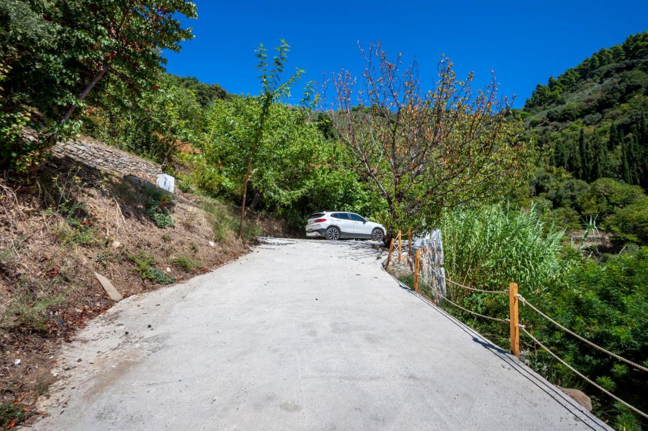 Olea Skopelos Villas With Swimming Pools & Sea View Panormos  Zewnętrze zdjęcie